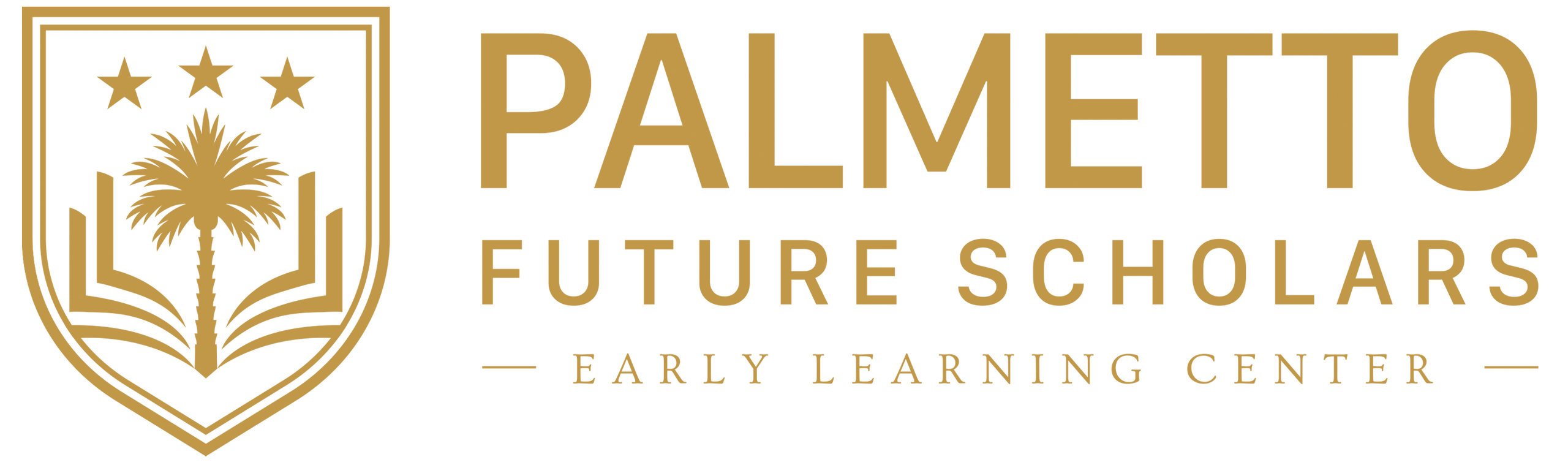 Palmetto Future Scholars
